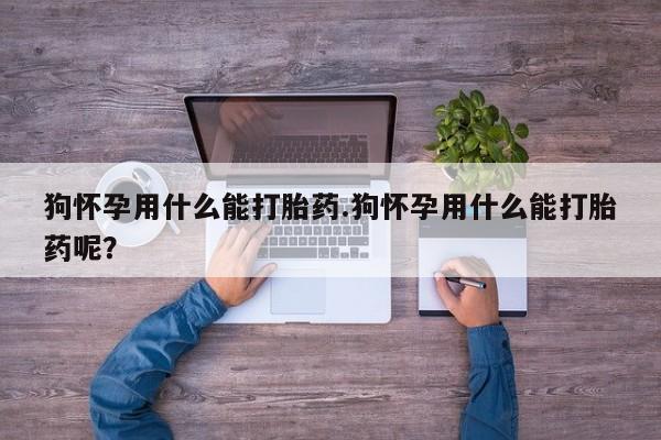 网上正品打胎药购买微信狗怀孕用什么能打胎药.狗怀孕用什么能打胎药呢？