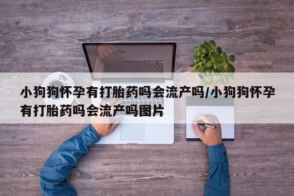 网上正品打胎药购买微信小狗狗怀孕有打胎药吗会流产吗/小狗狗怀孕有打胎药吗会流产吗图片