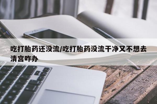 网上正品打胎药购买微信吃打胎药还没流/吃打胎药没流干净又不想去清宫咋办