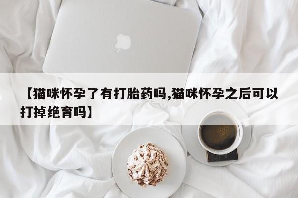 网上正品打胎药购买微信【猫咪怀孕了有打胎药吗,猫咪怀孕之后可以打掉绝育吗】