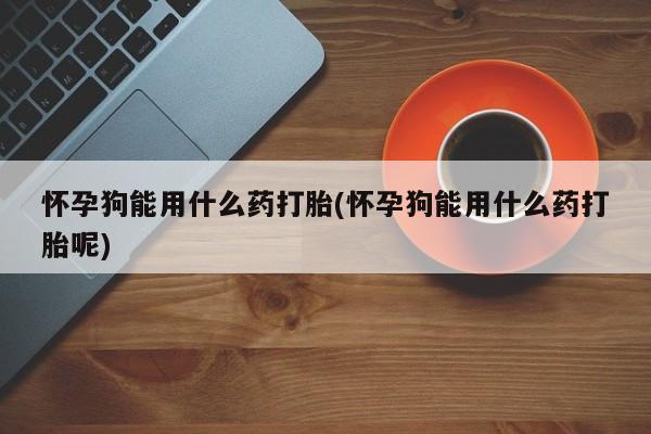 网上正品打胎药购买微信怀孕狗能用什么药打胎(怀孕狗能用什么药打胎呢)