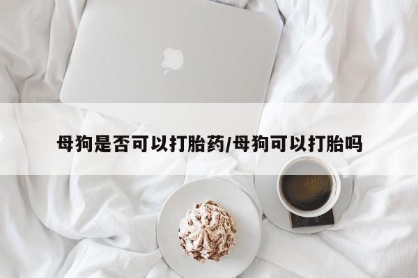 网上正品打胎药购买微信母狗是否可以打胎药/母狗可以打胎吗
